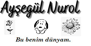 Ayşegül Nurol Logo