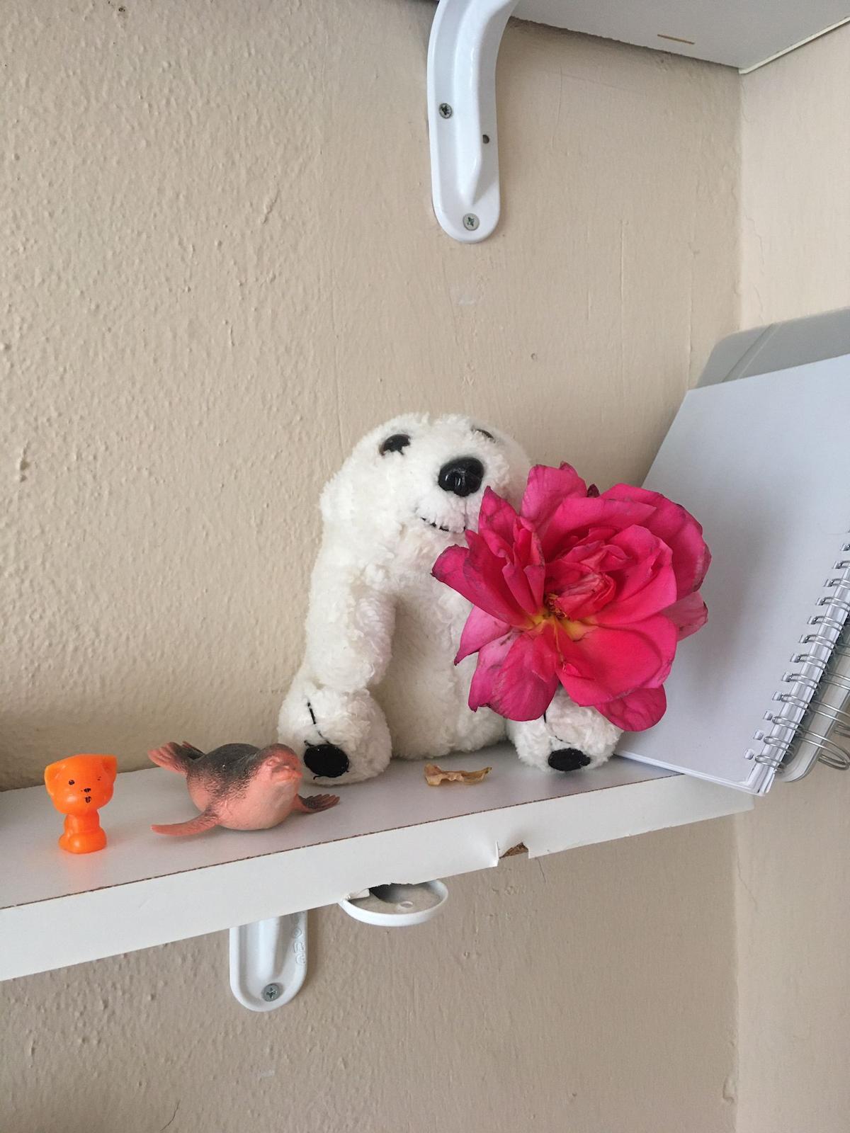 Umutlu ve aynı zamanda üzgün ve Kaygılı bir ayı